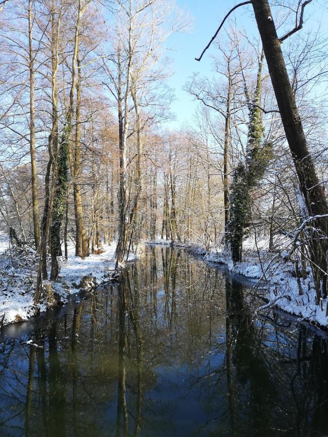 Gruener Wald Apartamento Burg Kauper Exterior foto